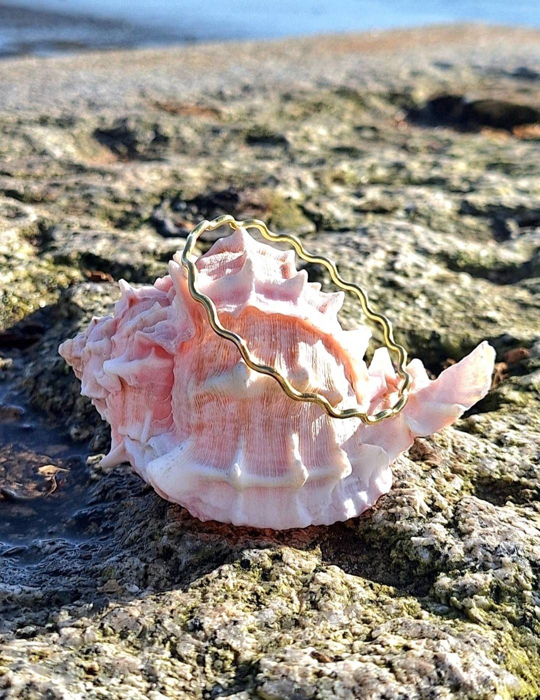 hseabrassscallopbangle