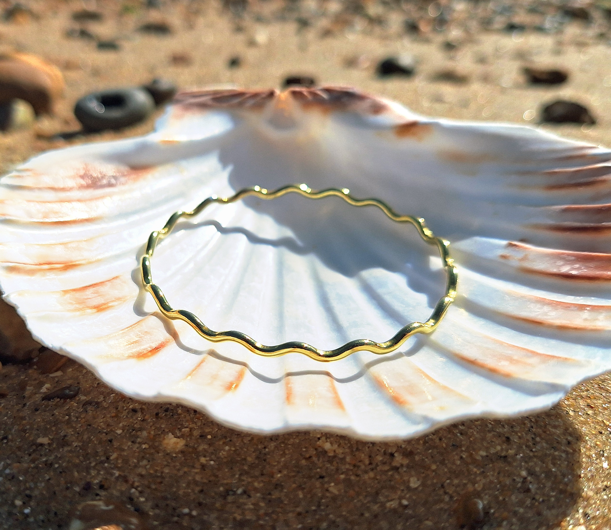 hseabrassscallopbanglebeach