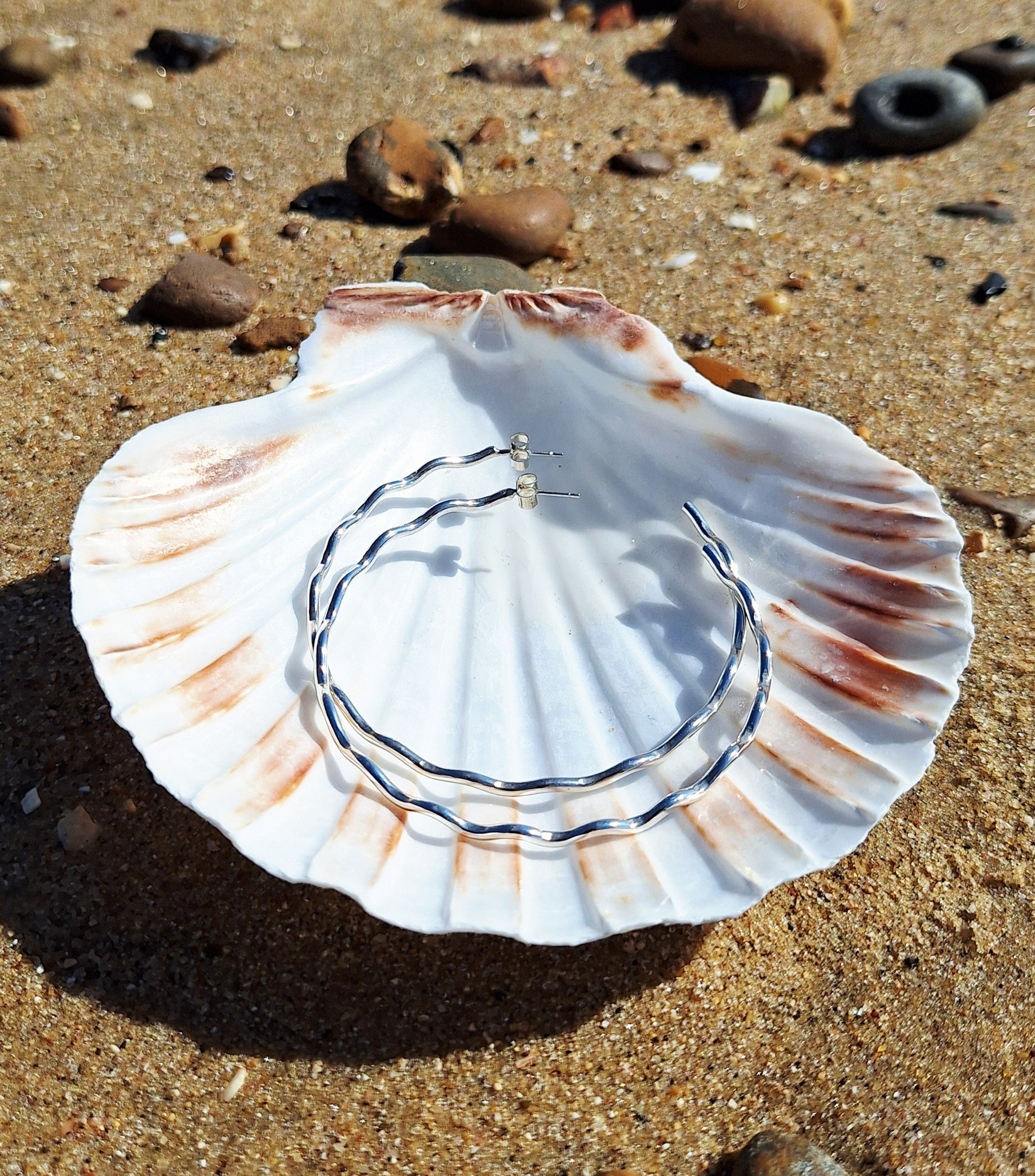 hsealargescallopsilver